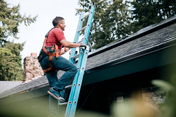 Reliable Albertville, MN Roof Repair & Installaion Solutions